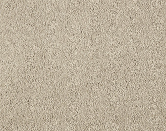 [400111258_5] Sweet Elegance - 450-Zand